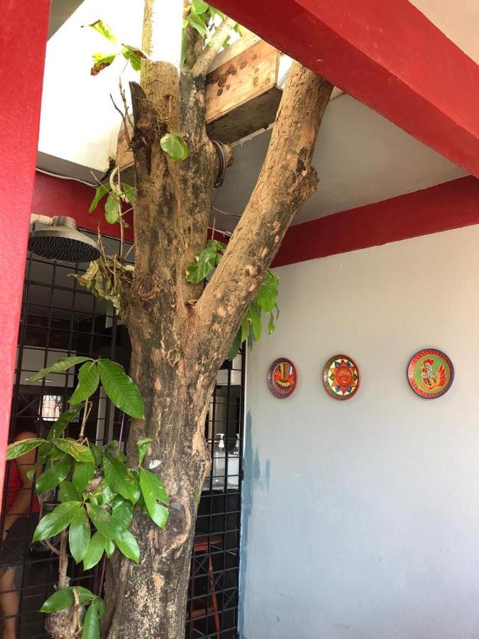 Pousada Porto Jambo Pôrto das Galinhas Exteriér fotografie