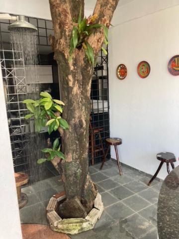 Pousada Porto Jambo Pôrto das Galinhas Exteriér fotografie